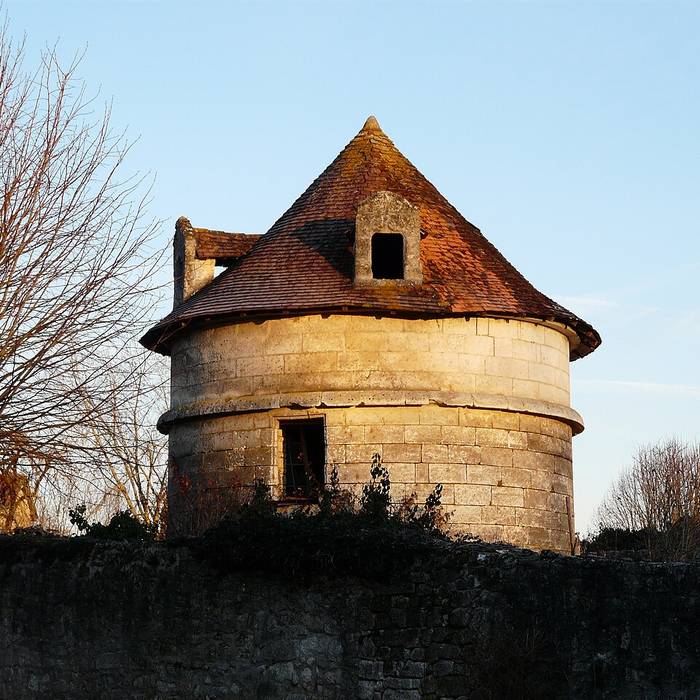 Photo de Château de La Tour-Blanche en Dordogne